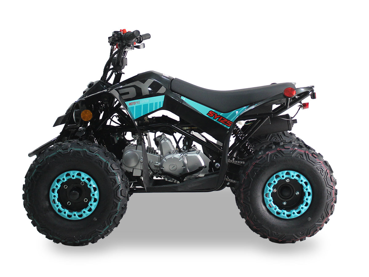 SY 125cc Kids ATV