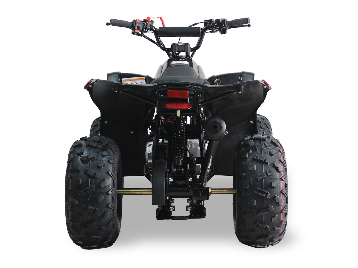 SY 125cc Kids ATV