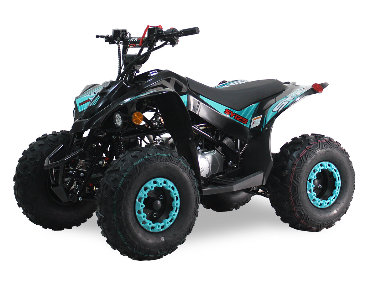 SY 125cc Kids ATV