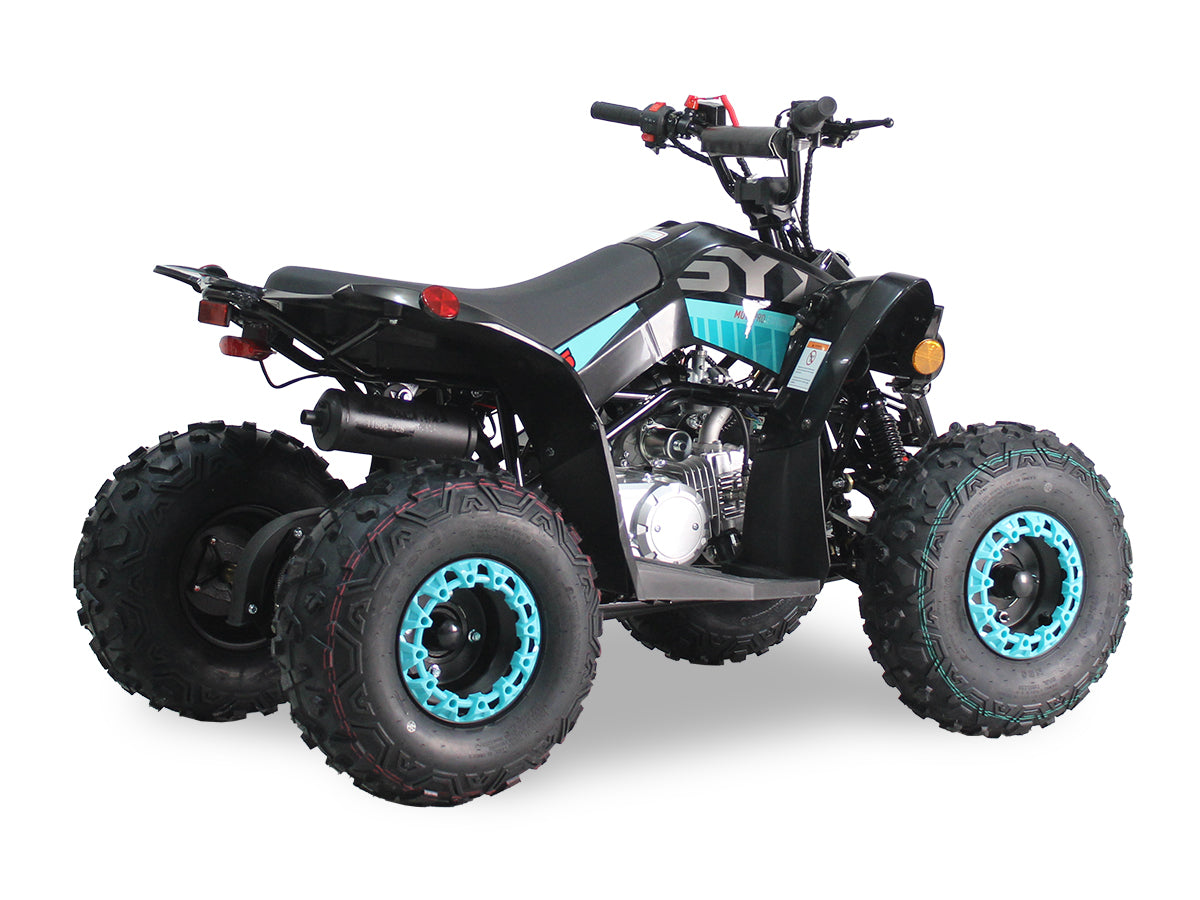SY 125cc Kids ATV