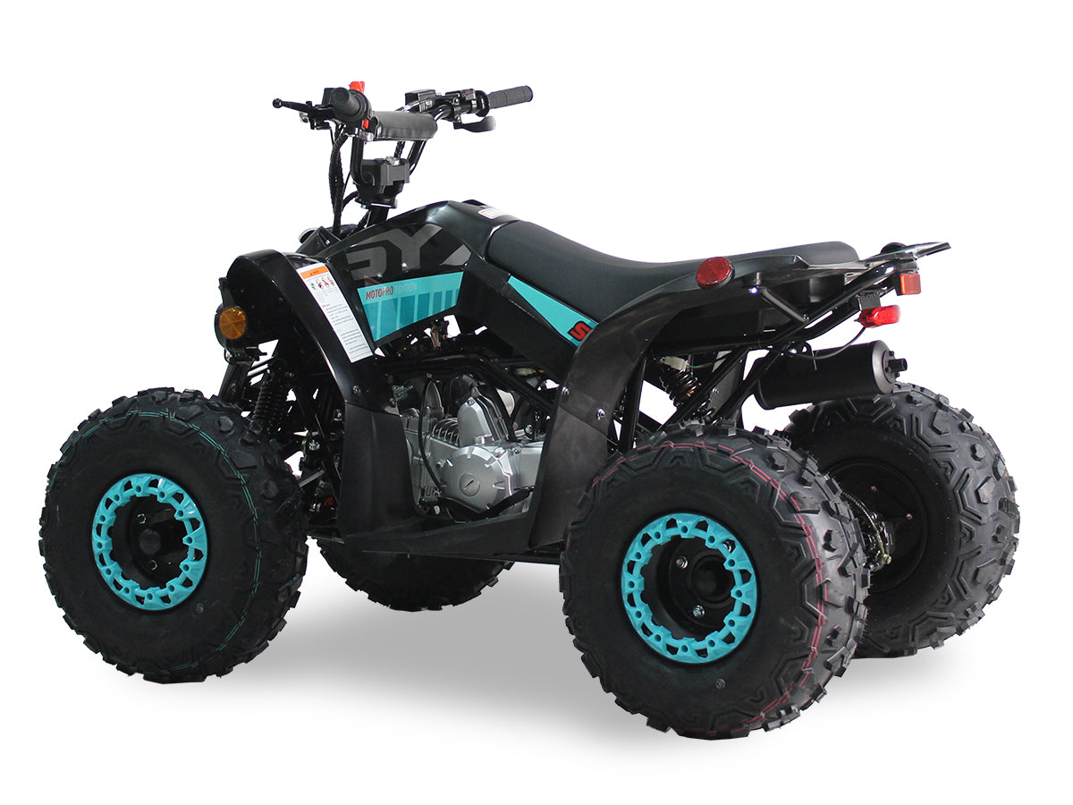 SY 125cc Kids ATV