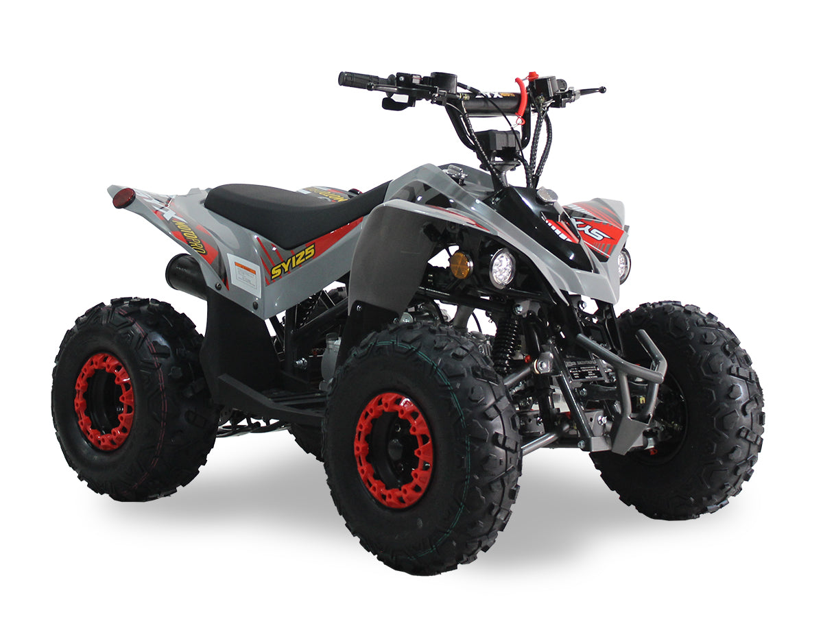 SY 125cc Kids ATV
