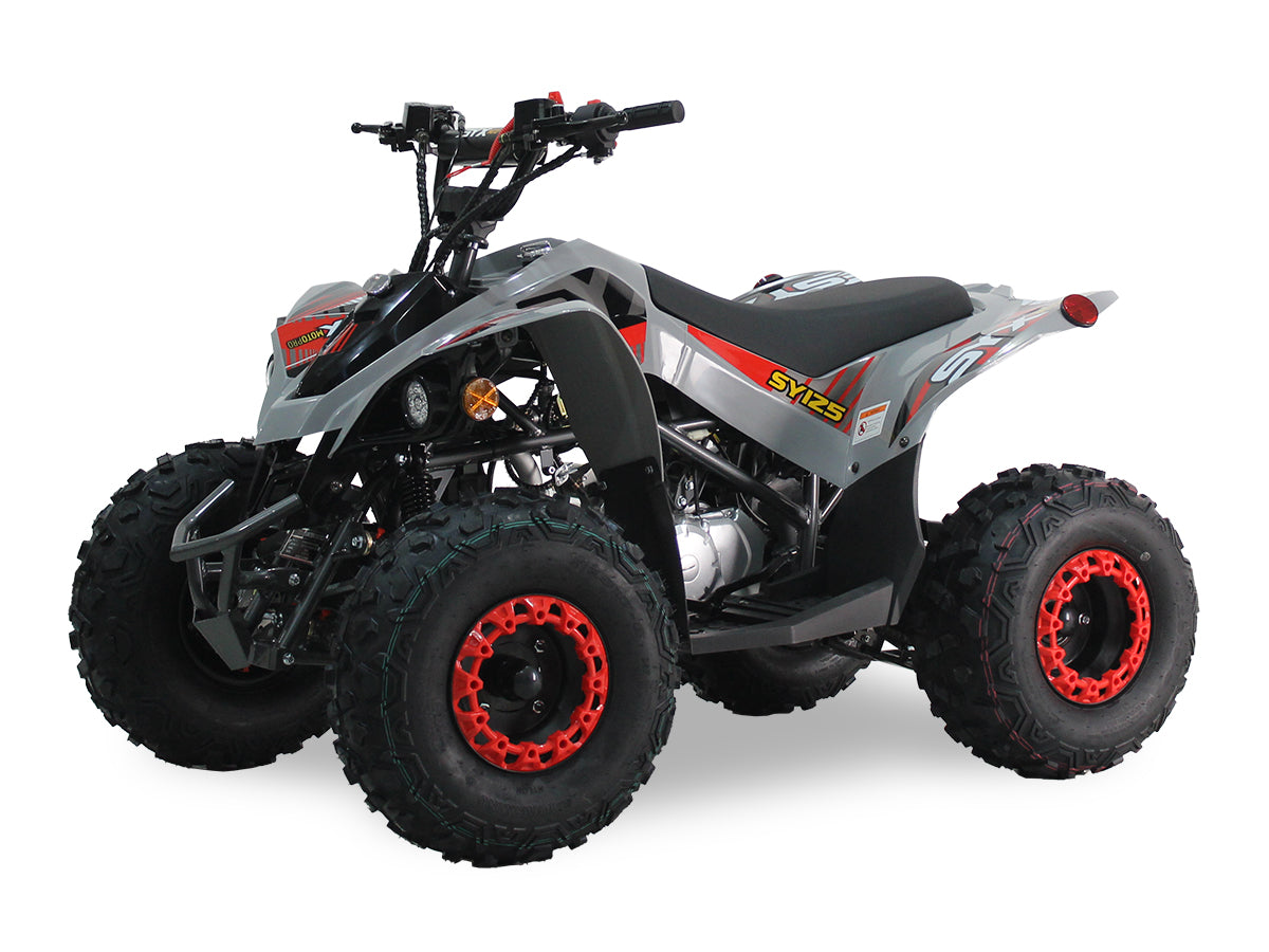 SY 125cc Kids ATV